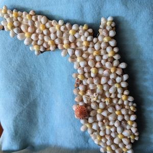 Sea Shell encrusted state of Florida. Base is wood.